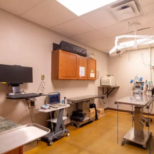 A photo of the surgery room at Dunes Animal Hospital